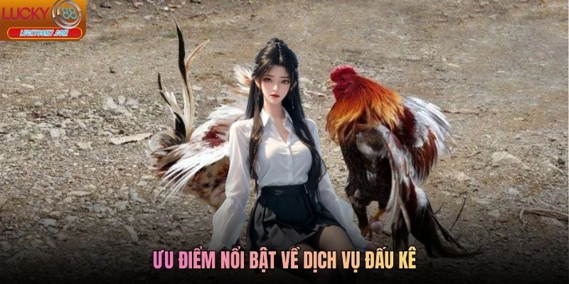 Ưu điểm nổi bật về dịch vụ đấu kê